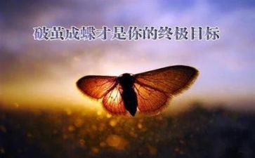 面对挫折作文600字8篇