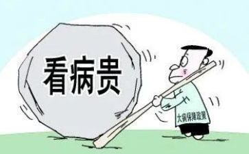 2024年大病低保申请书优质7篇