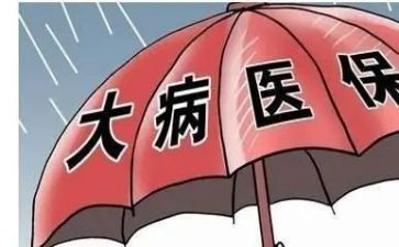 2024年大病低保申请书8篇