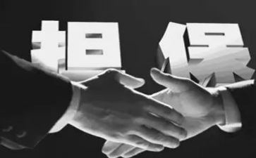 担保个人年终总结6篇