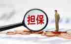 担保公司述职报告5篇