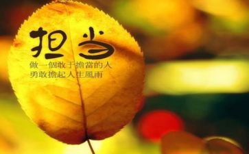 敢担当肯实干心得体会6篇
