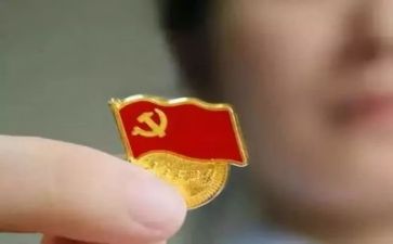 党支工作总结范文通用5篇