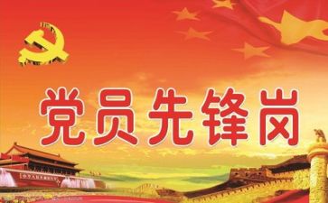 向局党组述职报告6篇