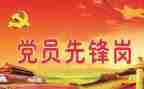 向局党组述职报告6篇