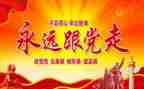 向局党组述职报告优秀8篇