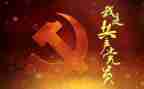 党日活动主题活动总结精选6篇