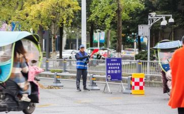到岗计划方案模板通用8篇