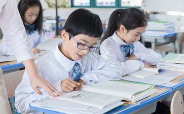 小导师工作计划参考5篇