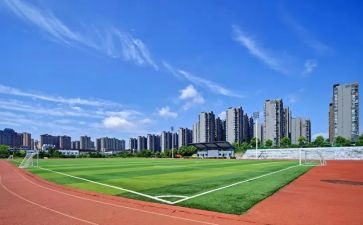 在大学做的演讲稿优秀5篇