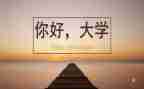 大学毕业生自我鉴定表1000字推荐8篇