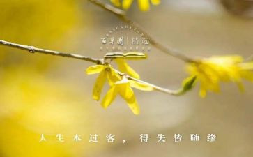 自己的得与失演讲稿通用6篇