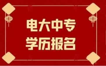 电大学生个人总结推荐7篇