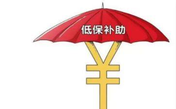 低保员个人总结5篇