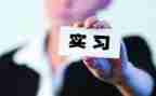 顶岗的自我鉴定精选7篇