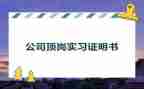 学生顶岗总结报告8篇