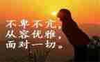 我懂了》作文优秀8篇