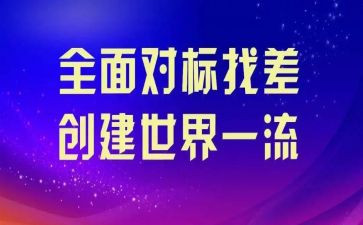 乡镇对标述职报告参考5篇