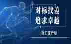 对标工作总结报告6篇