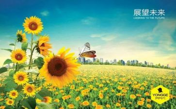 我憧憬的初中作文7篇