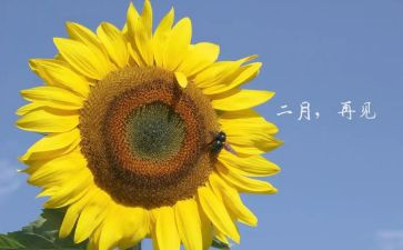 十二月份的工作总结7篇