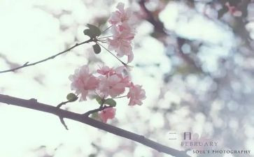 十二月份幼儿园工作计划6篇