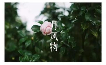 大班二月份工作总结5篇