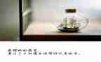 有关于放飞梦想的演讲稿6篇
