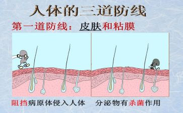 安全防线心得体会8篇
