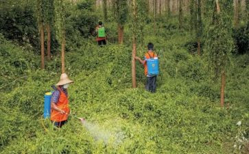 防治高血压活动总结5篇