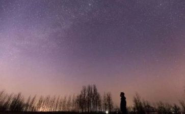 繁星83读后感最新8篇