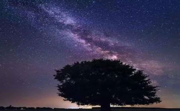 繁星一六读后感优质7篇