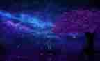春水繁星读后感模板6篇