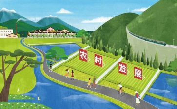 教育发展心得体会参考7篇