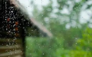 风雨谷读后感8篇