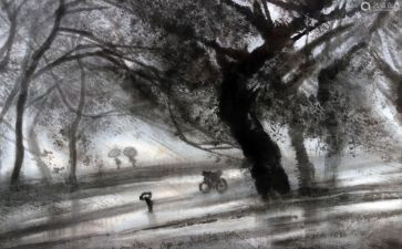 风雨过后有彩虹作文7篇