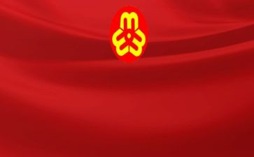 市妇联执委的述职报告5篇