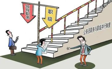 部门副职述职报告6篇