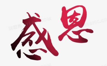 关于教师感恩的心得体会7篇