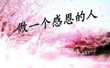 老师的感恩演讲稿模板5篇