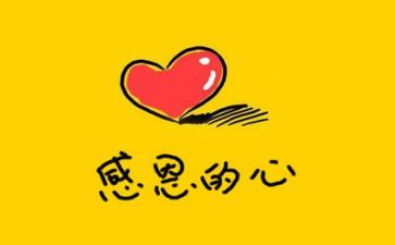 我感恩老师作文600字5篇