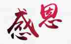 关于教师感恩的心得体会7篇