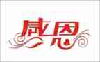 我感恩老师的作文500字5篇