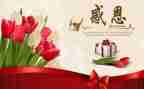 感恩300演讲稿最新8篇