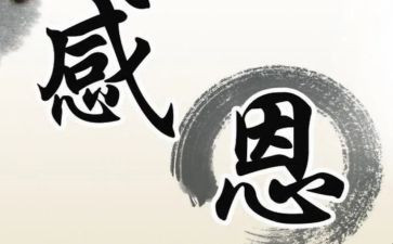 我感激她作文500字7篇