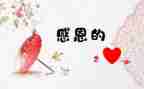 令我充满感激记忆的作文7篇