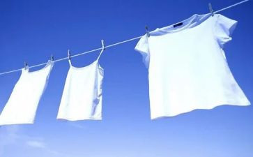 洗干净教案参考7篇