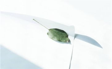 洗干净教案模板7篇