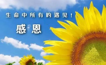 学生感谢教师的演讲稿8篇