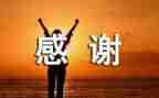 感谢为我提灯的人800字作文7篇